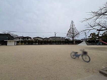 和合ケ丘中央公園 250m(徒歩4分)