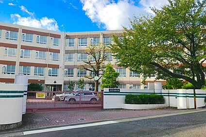 藤森中学校 850ｍ(徒歩11分)