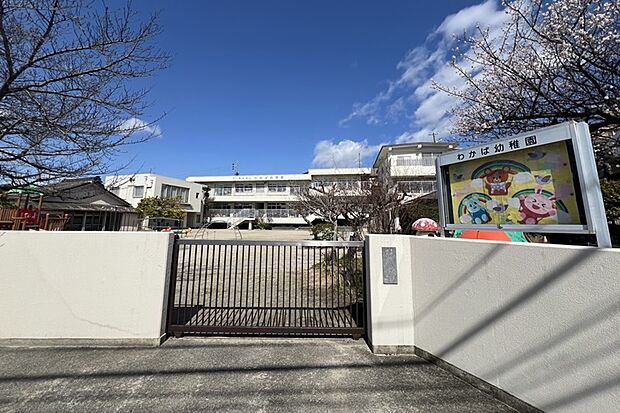 わかば幼稚園（約400m）
