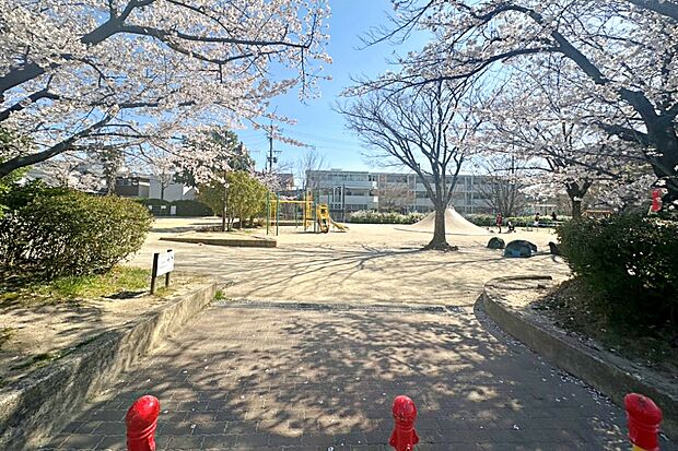 宝が丘公園（約150m）