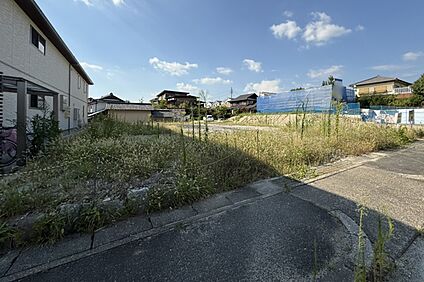 現地写真　