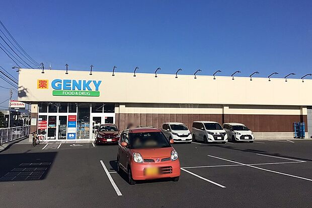 ゲンキー(晴丘東店)　（約600m）