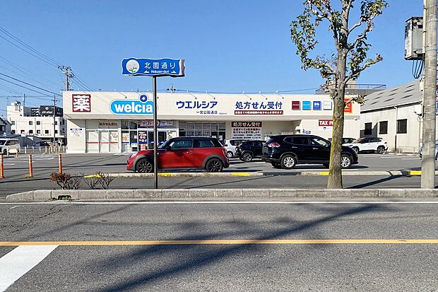 ウエルシア(一宮公園通店)(約550m)