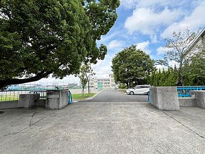 勝川小学校 800m(徒歩10分)