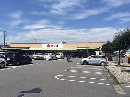 ピアゴ（味鋺店） 260ｍ(徒歩4分)