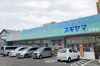 ドラッグスギヤマ（松原店） 900ｍ(徒歩12分)