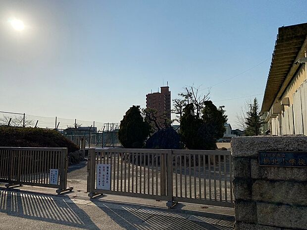 橋北小学校（約220m）