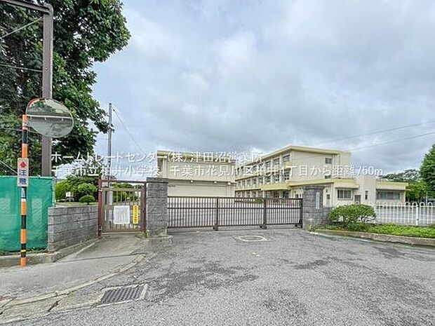 千葉市立柏井小学校（約750m）