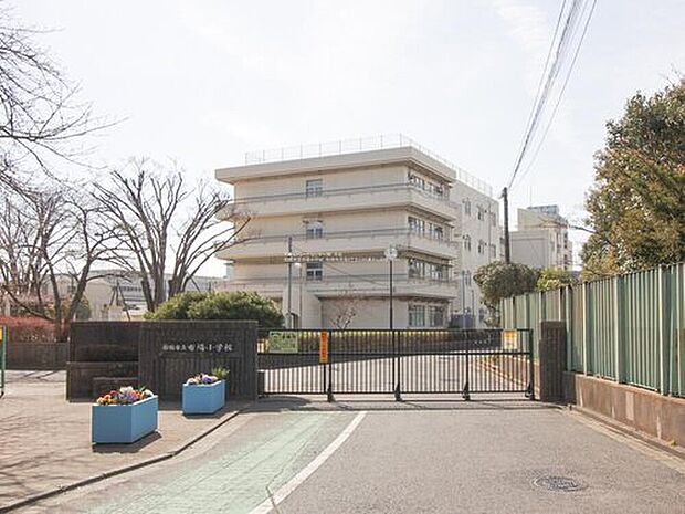 船橋市立市場小学校(約700m)