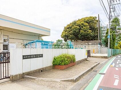 船橋市立塚田小学校 800m(徒歩10分)
