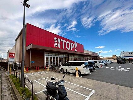 マミーマート生鮮市場TOP新夏見店 750m(徒歩10分)
