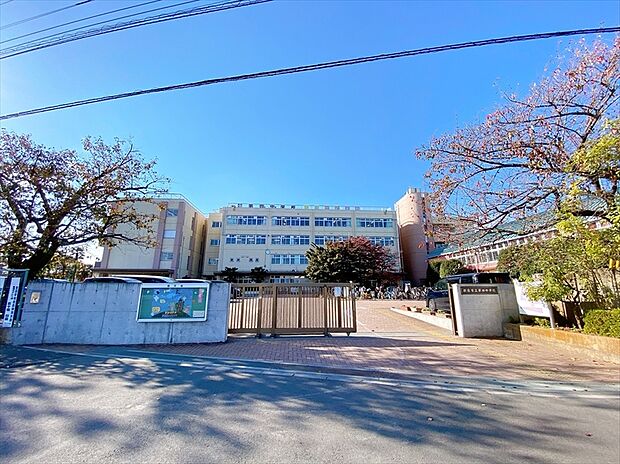 新座市立第四中学校（約1m）
