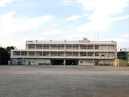 新座市立東野小学校 約170ｍ(徒歩3分)