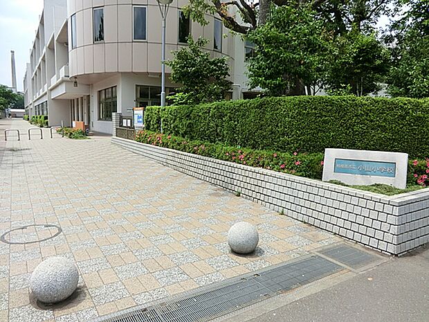 相模原市立小山小学校(約500m・徒歩7分)