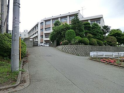 相模原市立相模丘中学校 1700m(22分)