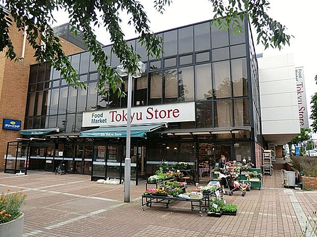 東急ストア つくし野店(約700m・徒歩9分)
