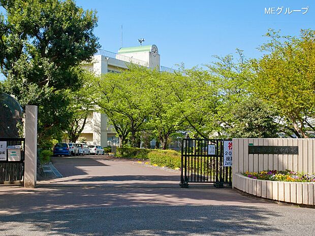 座間市立南中学校(約500m・徒歩7分)