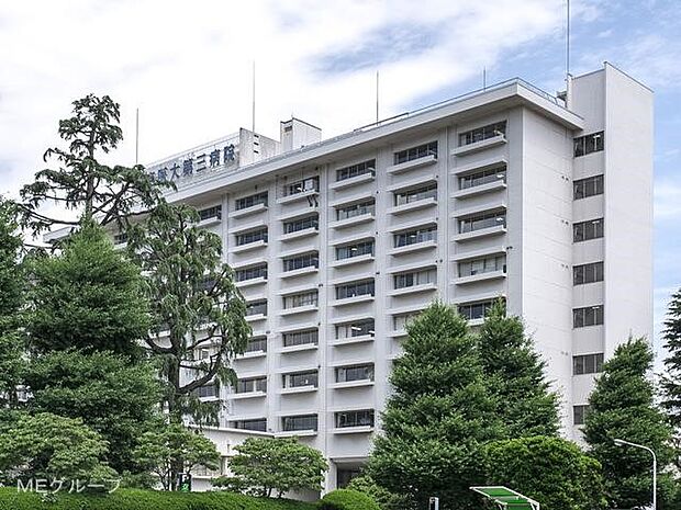 東京慈恵会医科大学付属第三病院(約402m・徒歩6分)