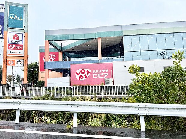 ロピア 開成店(約700m・徒歩9分)