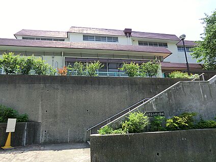 逗子市立小坪小学校 1010m(13分)