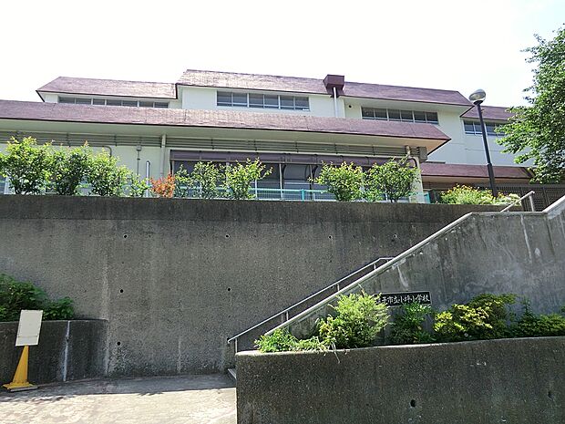 逗子市立小坪小学校(約1,010m・徒歩13分)