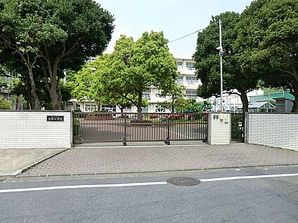 横浜市立公田小学校 1300m(17分)