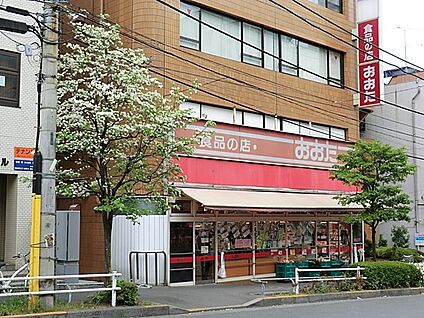 食品の店おおた 日野駅前店 804m(11分)