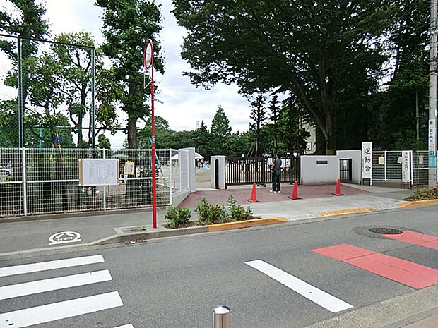 府中市立本宿小学校(約800m・徒歩10分)