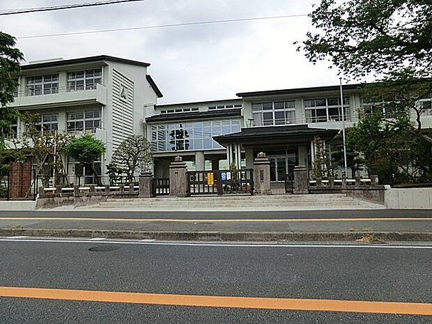 秦野市立本町小学校(約650m・徒歩9分)