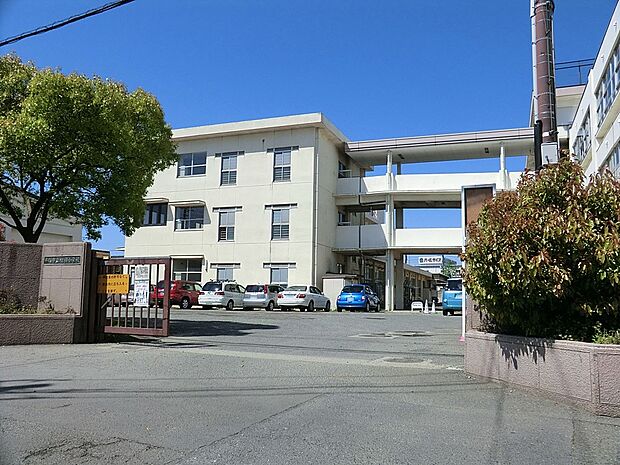 平塚市立相模小学校(約480m・徒歩6分)