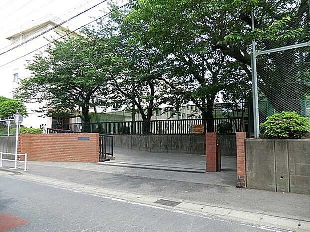 藤沢市立新林小学校（約1,100m・徒歩14分）