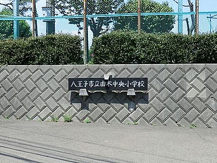 八王子市立由木中央小学校 1200m(15分)