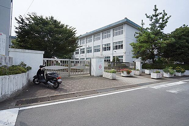 小田原市立富水小学校（約560m・徒歩7分）