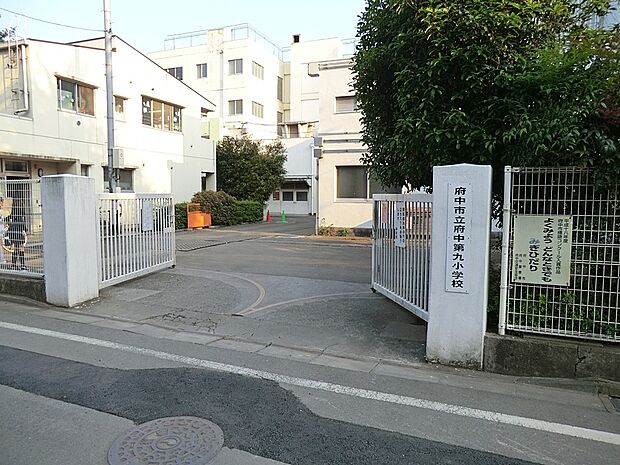 府中市立府中第九小学校(約720m・徒歩9分)