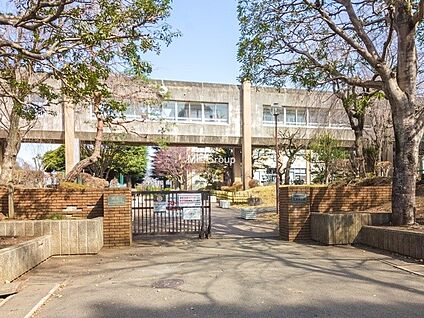 相模原市立上溝中学校 341m(5分)