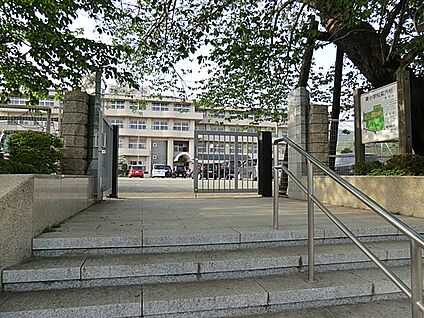 秦野市立東小学校 2000m(25分)
