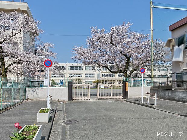 八王子市立第五小学校（約900m・徒歩12分）