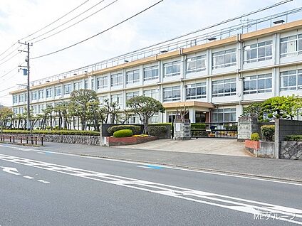 平塚市立浜岳中学校 400m(5分)