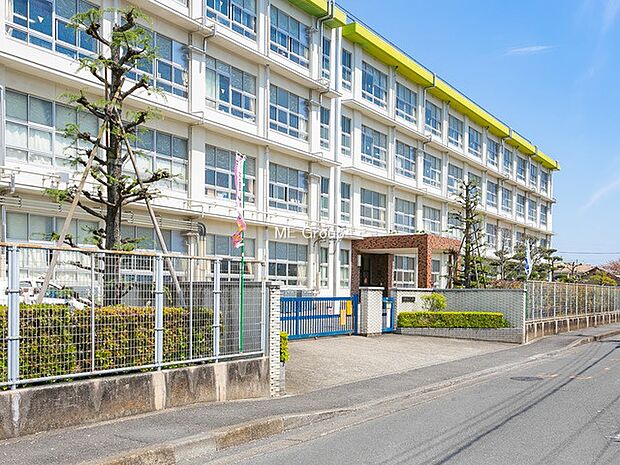 平塚市立山下小学校（約847m・徒歩11分）
