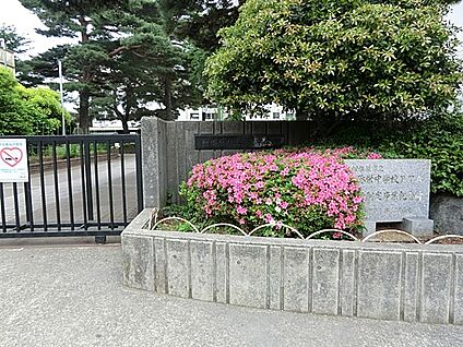 相模原市立弥栄中学校 1000m(13分)