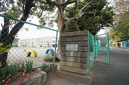 山北町立川村小学校 1700m(22分)