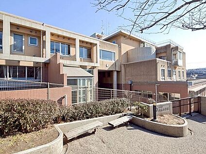 川崎市立向丘小学校 260m(4分)