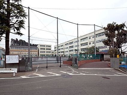 横浜市立新治小学校 750m(10分)