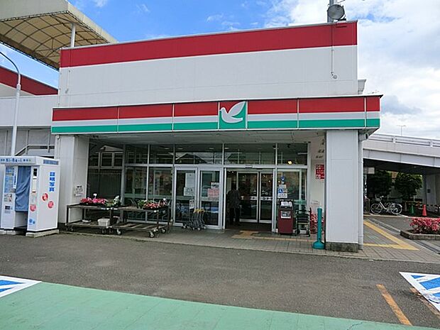 ヨークフーズ田名店(約836m・徒歩11分)
