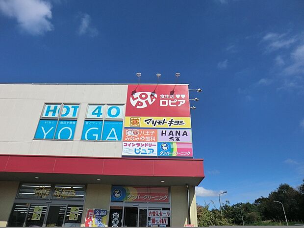 ロピア 八王子みなみ野店(約850m・徒歩11分)