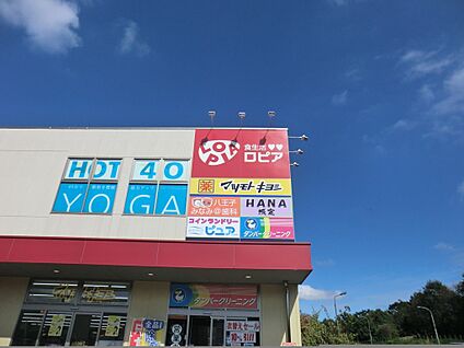 ロピア 八王子みなみ野店 3800m(48分)