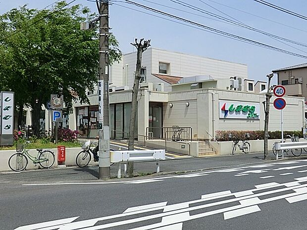 しまむらストアー すみれ平店(約600m・徒歩8分)