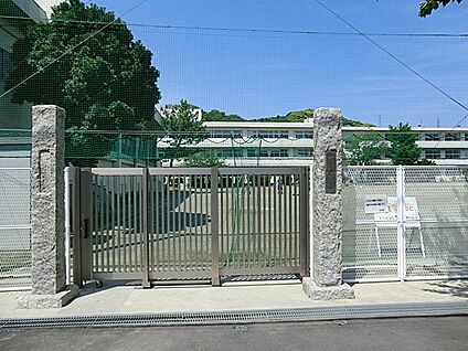 鎌倉市立深沢小学校 1500m(19分)