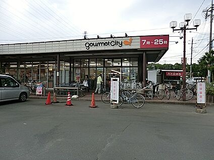 グルメシティ立川若葉店 1000m(13分)