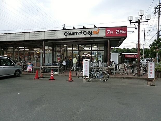 グルメシティ立川若葉店(約1,000m・徒歩13分)